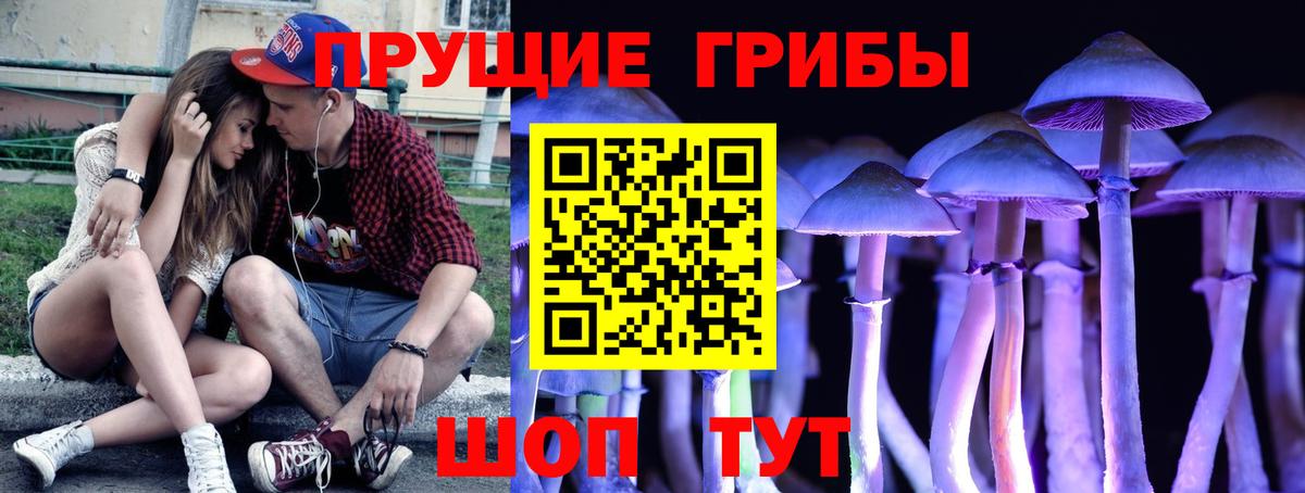 купить наркотики цена  Вход с VPN  Псилоцибиновые грибы прущие грибы  Орёл  Галлюциногенные грибы Psilocybine cubensis 