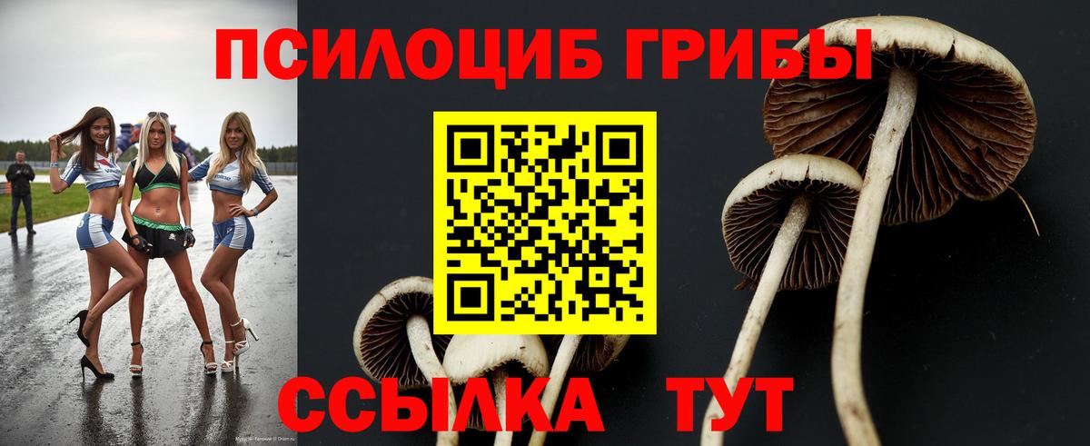 Галлюциногенные грибы GOLDEN TEACHER Орёл